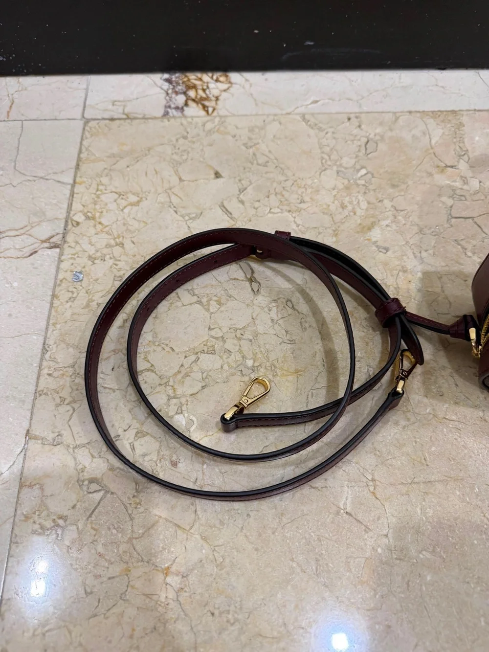 Michael Kors Brown & Burgundy Signature Cosmetic Case